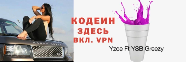 ПСИЛОЦИБИНОВЫЕ ГРИБЫ Кулебаки
