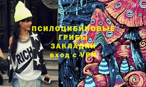 ПСИЛОЦИБИНОВЫЕ ГРИБЫ Кулебаки
