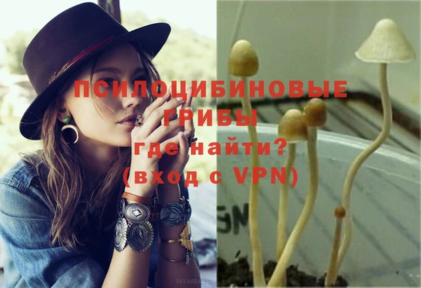 ПСИЛОЦИБИНОВЫЕ ГРИБЫ Кулебаки