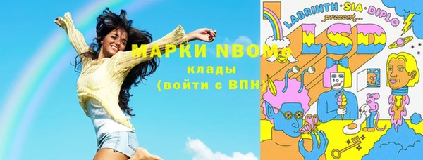крисы Краснослободск